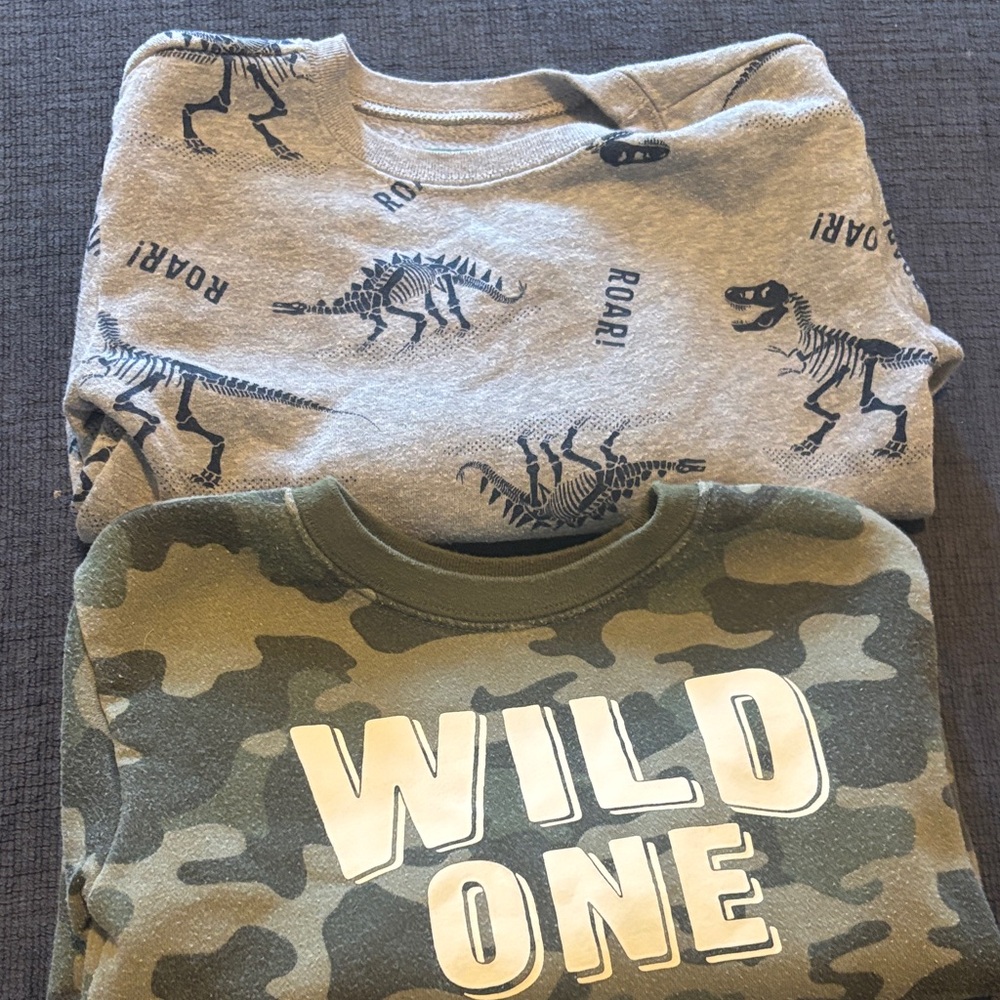 Garanimals Gray Dinosaur and Green Camo Sweatshirts